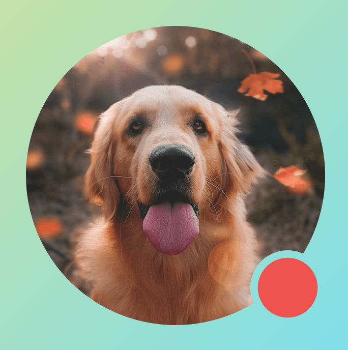 Modifier.drawWithContent su un'immagine che mostra un'indicazione circolare, con BlendMode.Clear all'interno dell'app